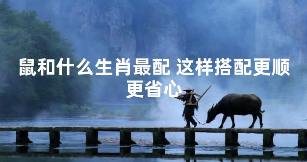 鼠和什么生肖最配 这样搭配更顺更省心